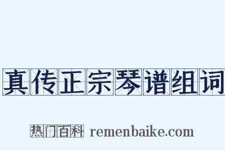 真传正宗琴谱组词是什么意思的图片